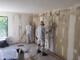 Best Environmental Consulting for Mold Prevention in Ettrick, VA